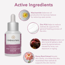 Load image into Gallery viewer, 10% NIACINAMIDE SPOT CORRECTOR SERUM