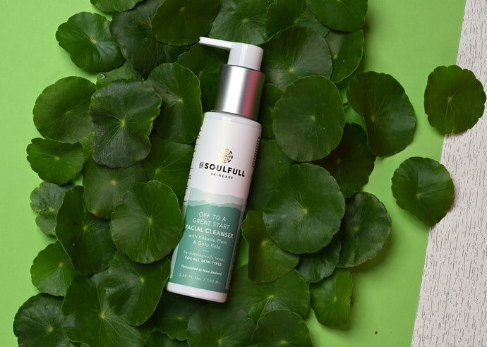 GOTU KOLA (BRAHMI): THE ‘DO IT ALL’ SKINCARE INGREDIENT